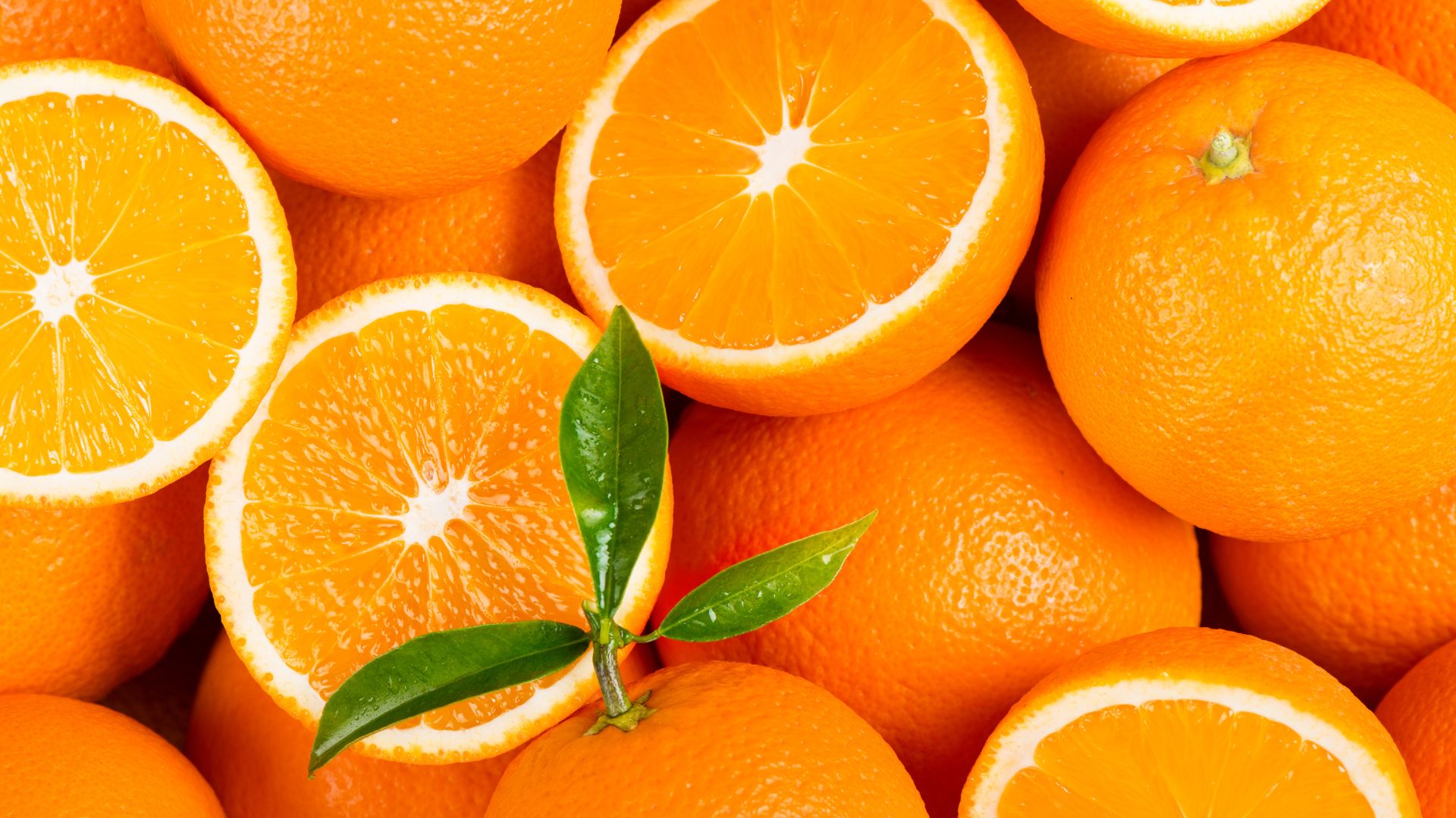 1 10 Xương khớp khỏe mạnh: Các bí quyết tăng cường collagen tự nhiên