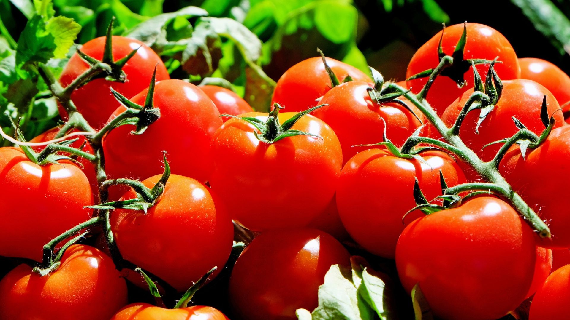 Them tieu de 21 Thực phẩm tự nhiên giúp bạn giảm đau gout mà không cần dùng thuốc